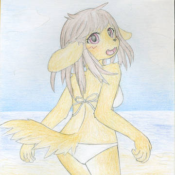 夏、終わりましたね・・・