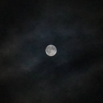 投稿テスト