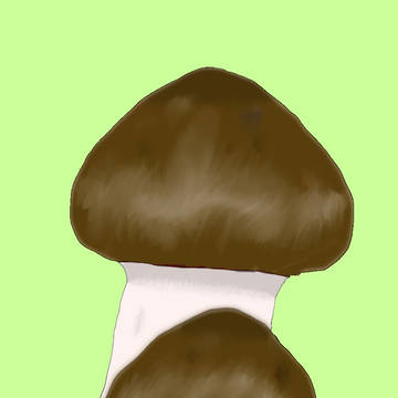 まつたけ