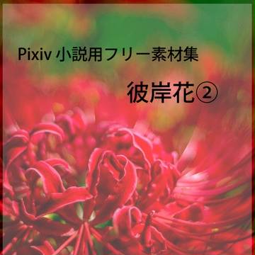 彼岸花②