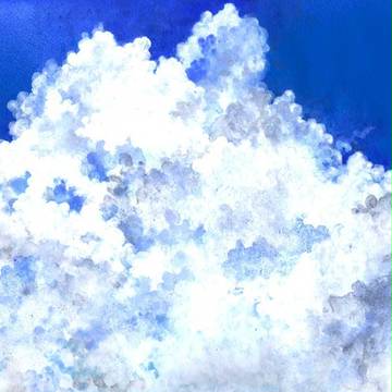 昨日は夏の夢