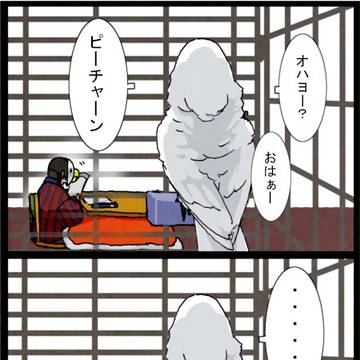 タイハクオウム：豆まき