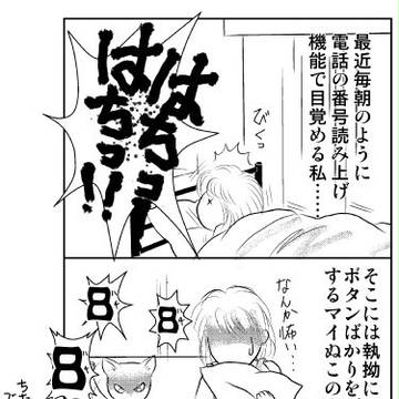 猫のいる風景