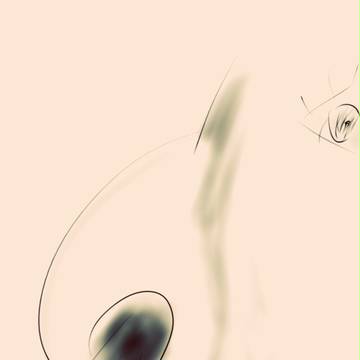 鼻