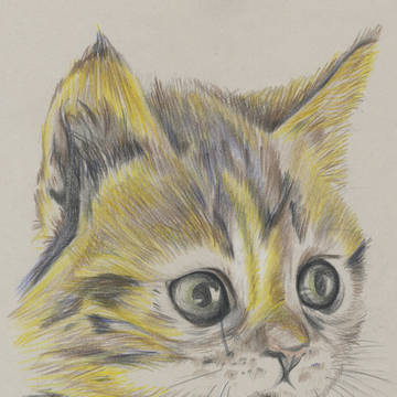neko