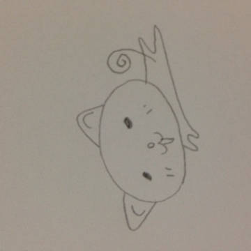 ヌコ