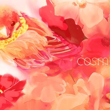 COSMOS