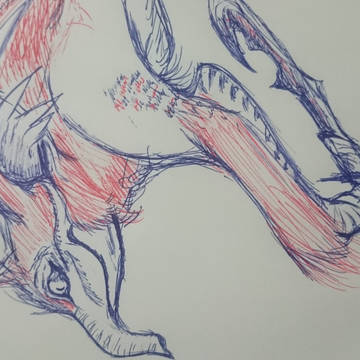 奇猿狐・ケチャワチャ