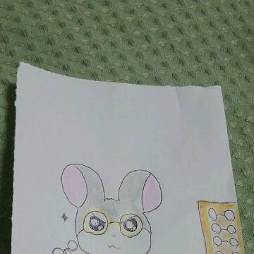 めがねチェック