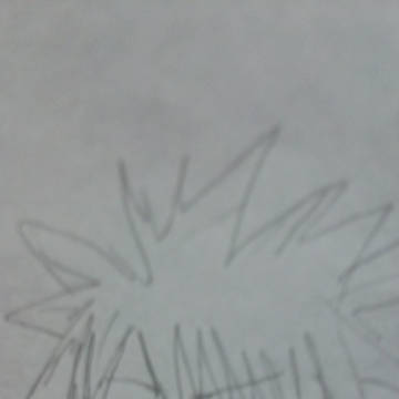 男の子