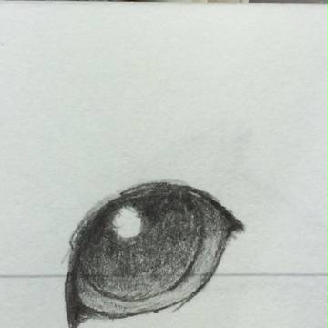 眼