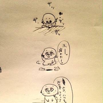 ハルちゃんの犬とセミ