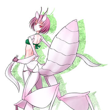 ハナカマキリさん