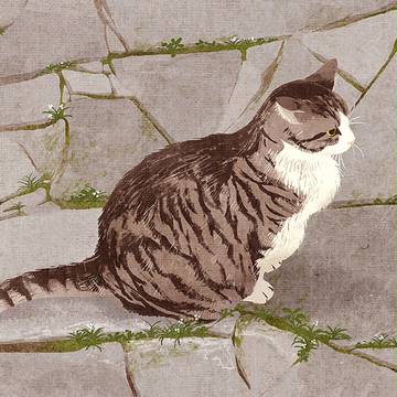 石畳の猫
