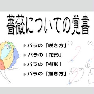薔薇についての覚書