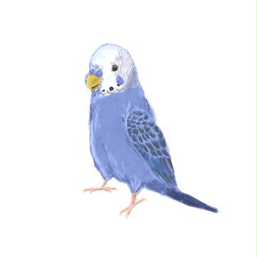 はねもふ・・
