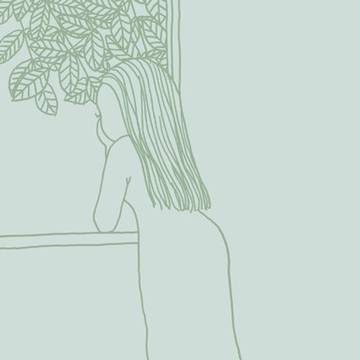 窓