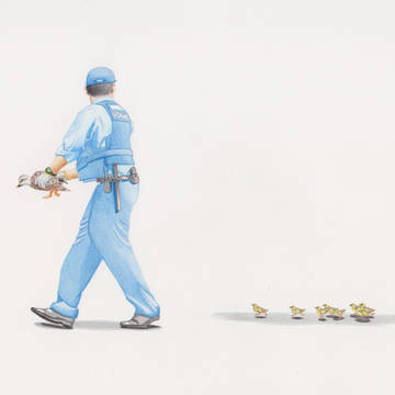 警察官とカルガモ親子