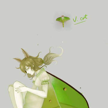 moth