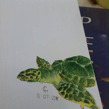 【watercolour】Turtles