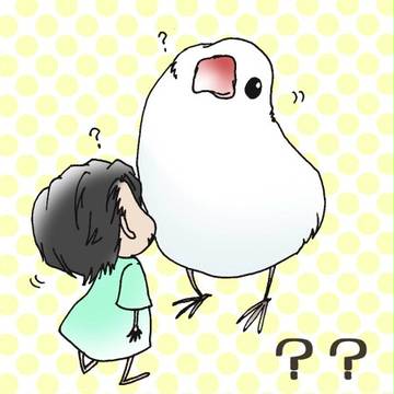 だいふくと文鳥