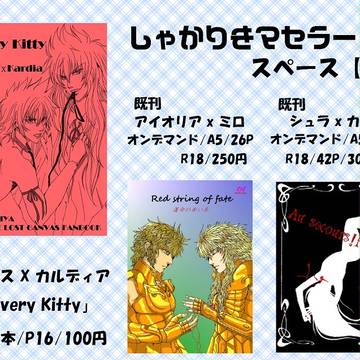 パラ銀19　サンプル