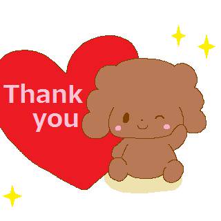 トイプードル、Thank you