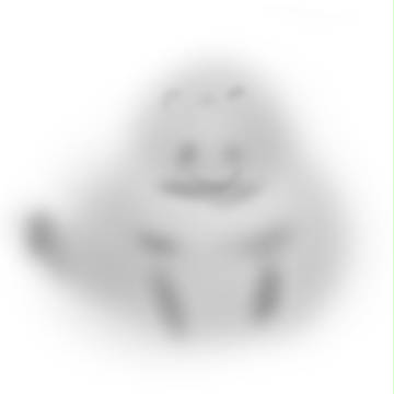 狸