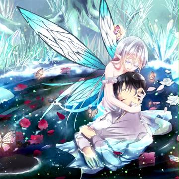 forest of the fairy