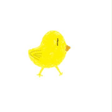ひよこ