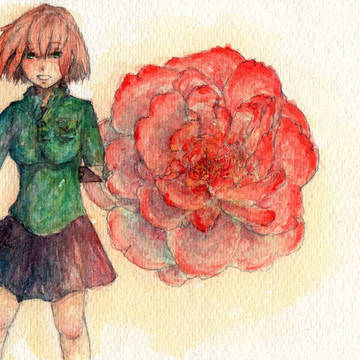 Peony＊牡丹＊