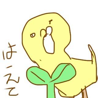 楽しい予感