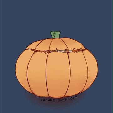 connor pumpkin