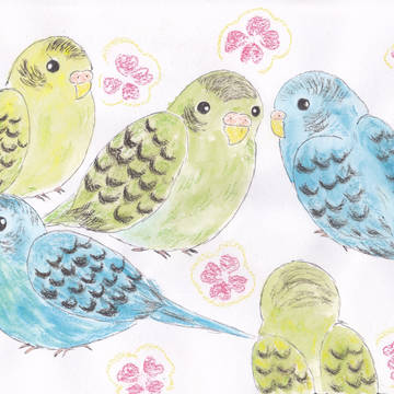 インコいっぱい