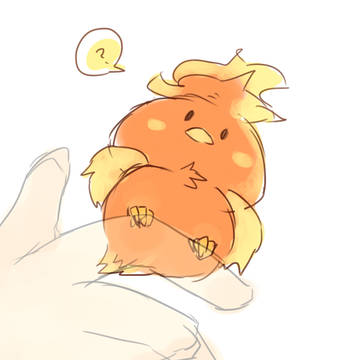 ちゃも