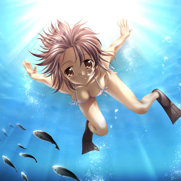 夏ですヽ(´ｰ`)丿