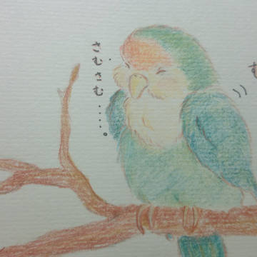 最近寒くなりましたね