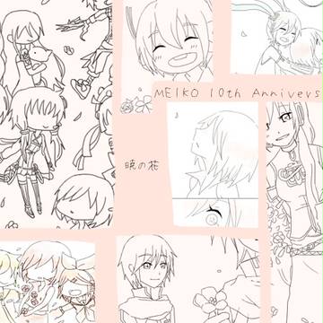 暁の花　10th