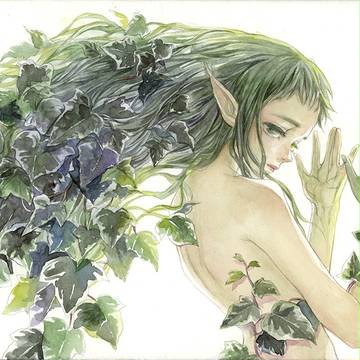 葉脈