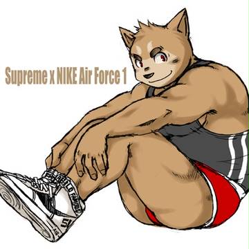 Supreme x NIKE Air Force 1