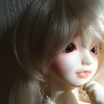 -17- こもれび