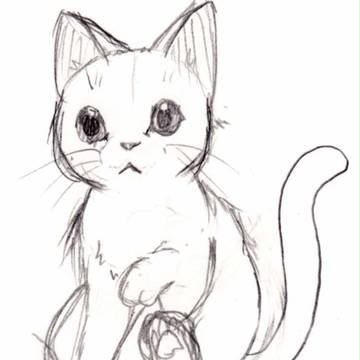 動物