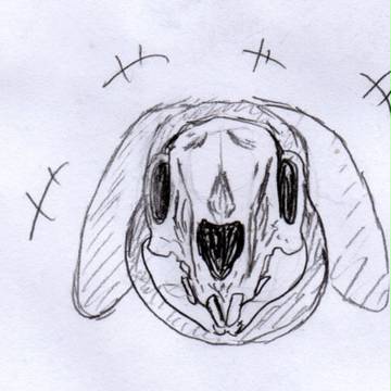 うさうさ・・・骨骨