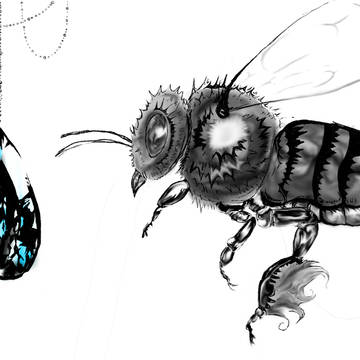 honey bee