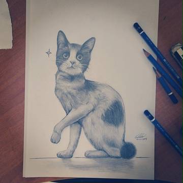 ネコ~ ネコ~ (•8•)