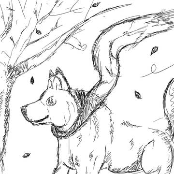 冬の季節…マフラー犬
