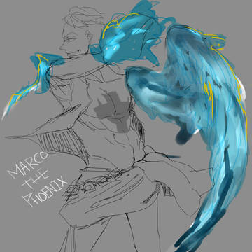 marco, law