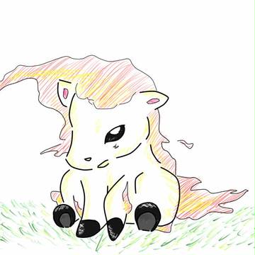 ポニータ