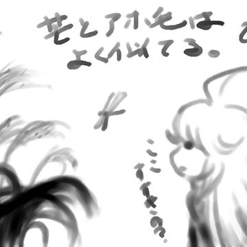 すすき