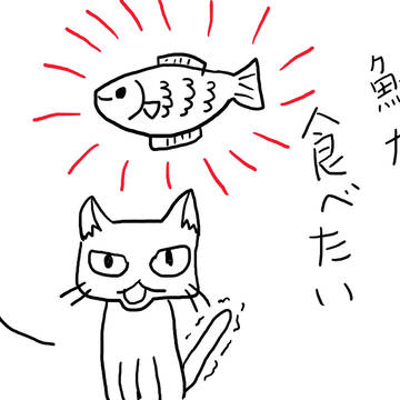 うちの猫が好きなもの